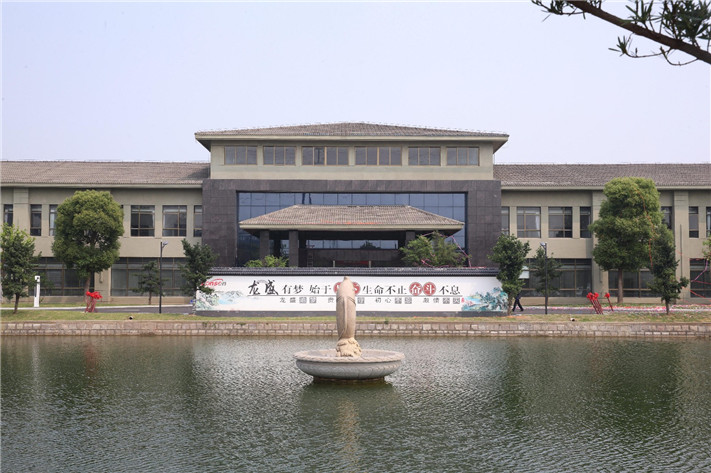 浙江龍盛集團 - 副本.jpg